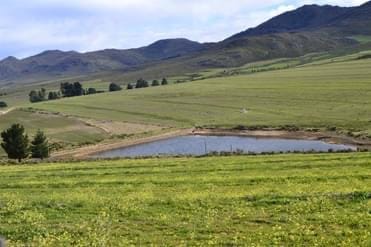 Commercial Property for Sale in Avontuur Western Cape